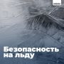 Водоёмы Краснодара покрываются тонким слоем льда