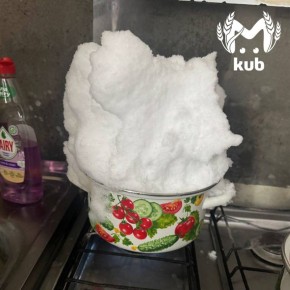 ������ ������������ � �������� ���� ����� ��� �����, ����� � ����