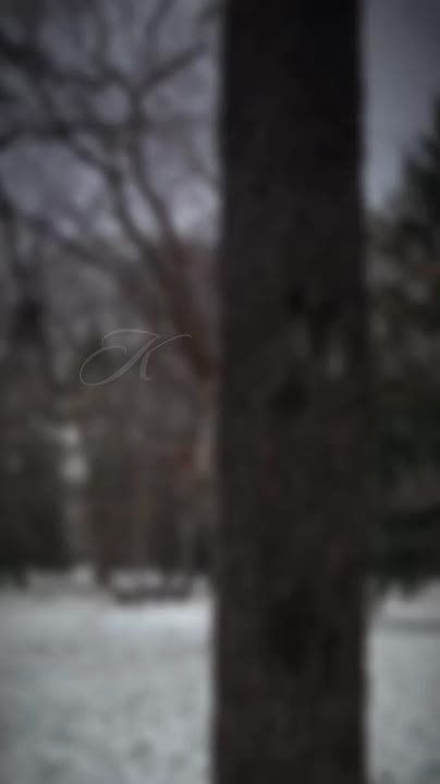 ������ ����, ���������!. � ������ �������