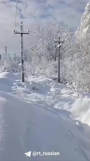 ��-�� ������� ���������� ��� ����� �������� ����� 28 ���