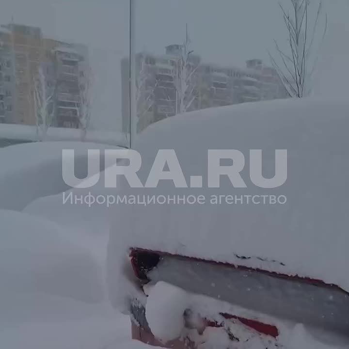 ������ ����� ��� �����, �� � ��������� �� ����