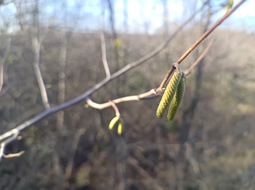 Постепенное потепление пришло на Кубань
