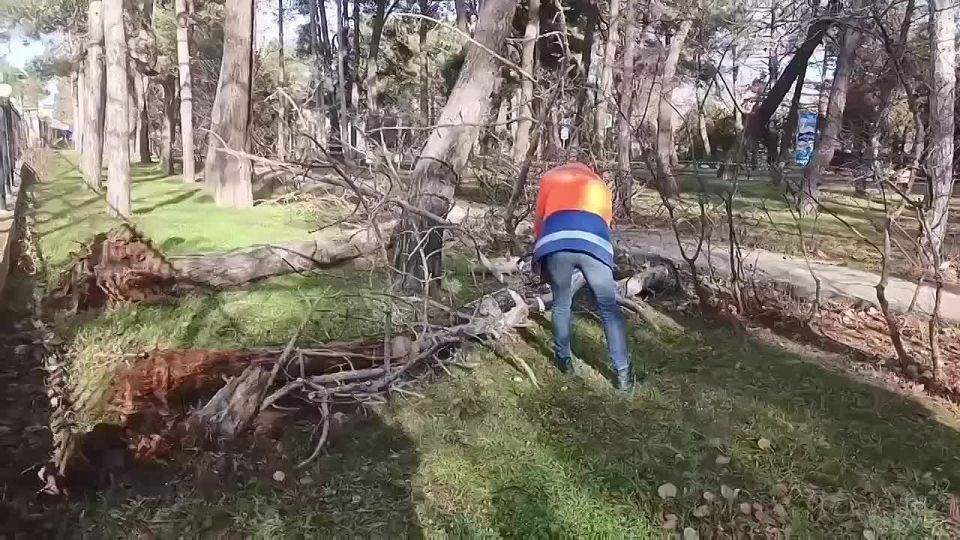 ��������� ������ ������� ����� � ������ �������� � ������ ������ �����