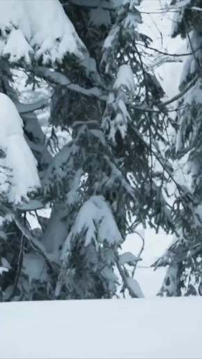 Дед Мороз - фрирайдер!. Когда подарки доставлены - самое время в горы! Свежий пухляк, ветер в лице и новогоднее настроение на максимуме