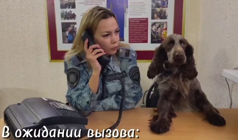 ������ ����� � �����!. ������� ��������� -� ������� � � ������������ �������� - �������� ���� ������ ������ ������ �� ������! � ����� ��������� ���� ����������, ��� ����������, ��� ����������� ��� �����������...