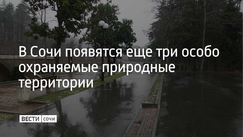 В 2026 году в Сочи появятся три новых особо охраняемые природные территории (ООПТ) местного значения