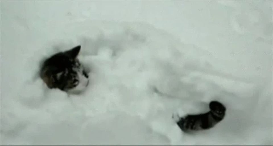 ������ ����� ����� �� ��� ��� ���������� � ����� ����