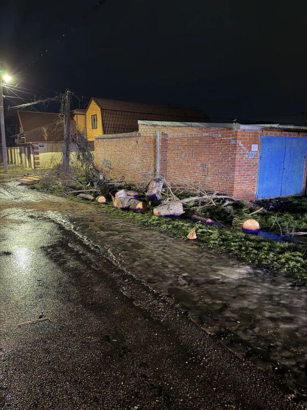 ������ ������� �� �������� ����� ����� �� ��. ������, 46/3, �������/�������, �������, 22