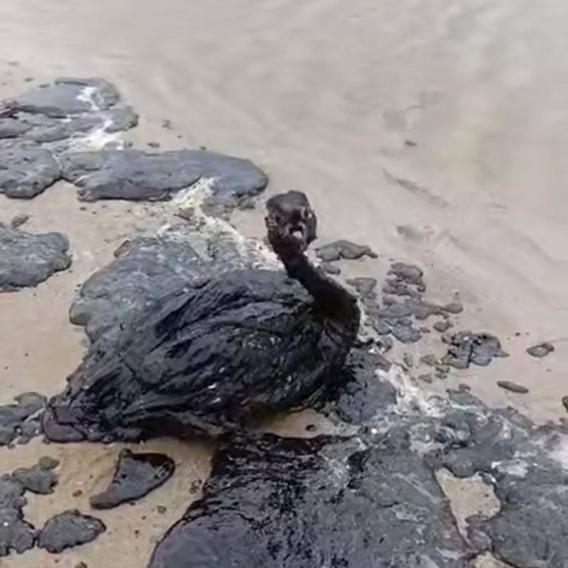 �����, ������������ �� ������� ������ � �����, ������� ������ 2026 ���� � ������ �� ������� ����� ������ ���� ������