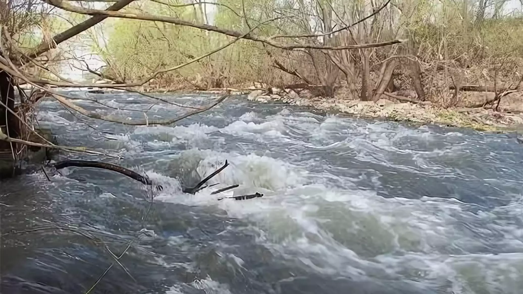 В реках Кубани опасно поднялась вода