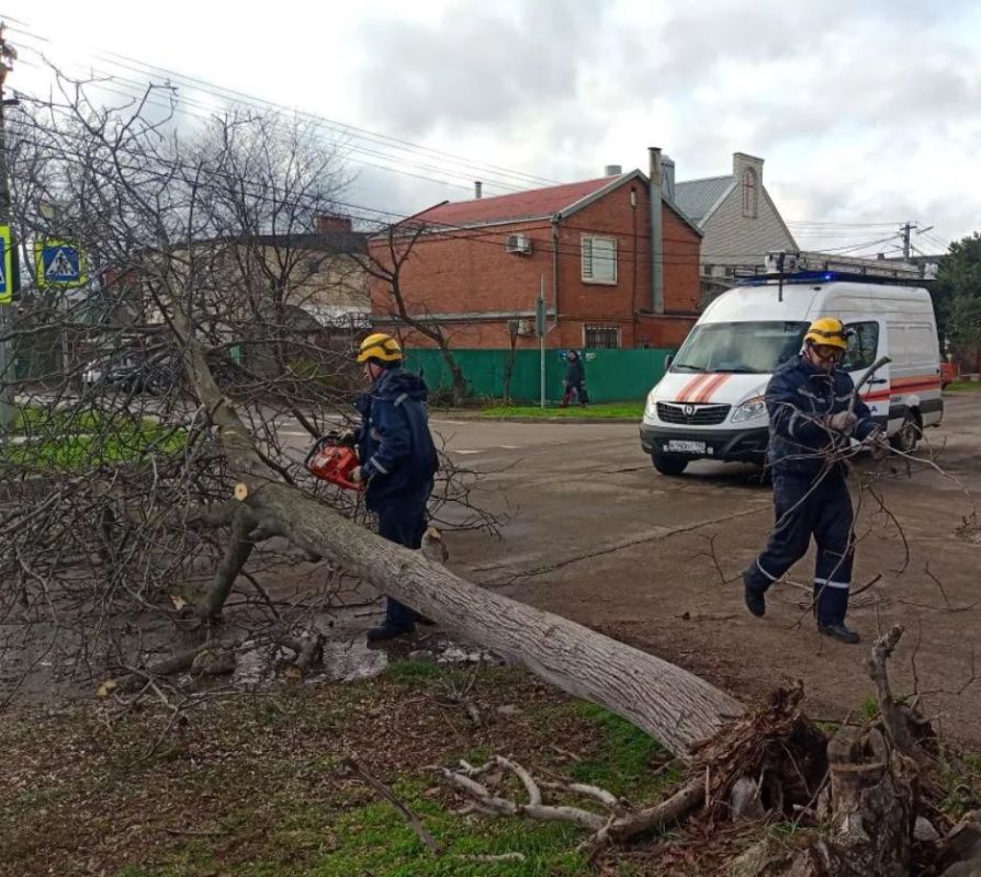 ��������� ��������� ����������� �������� �����