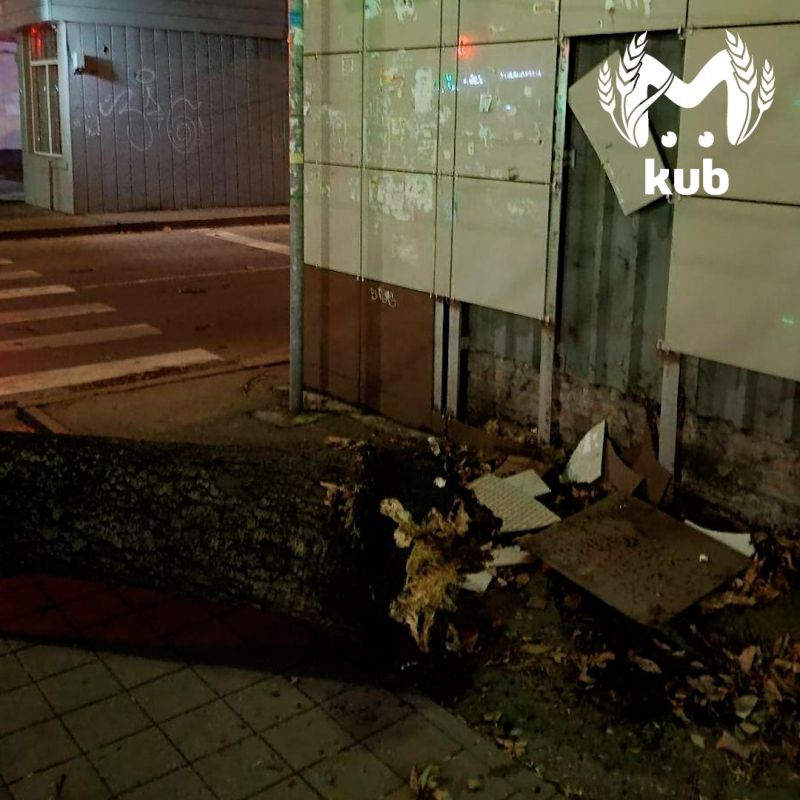 ������ ����� ������� ������ �� ����������� �������������� � ������������ � ����������