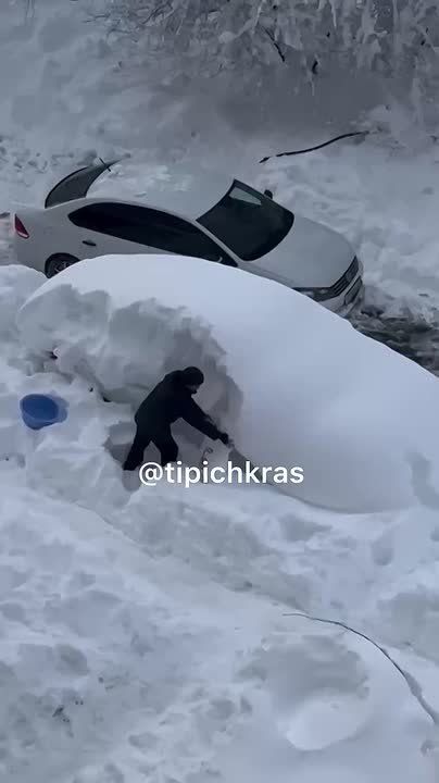 ������� ������ �������� ��������� ���� ����� ����� ������� ������������ �� ������������ ������� �� ����� ���������