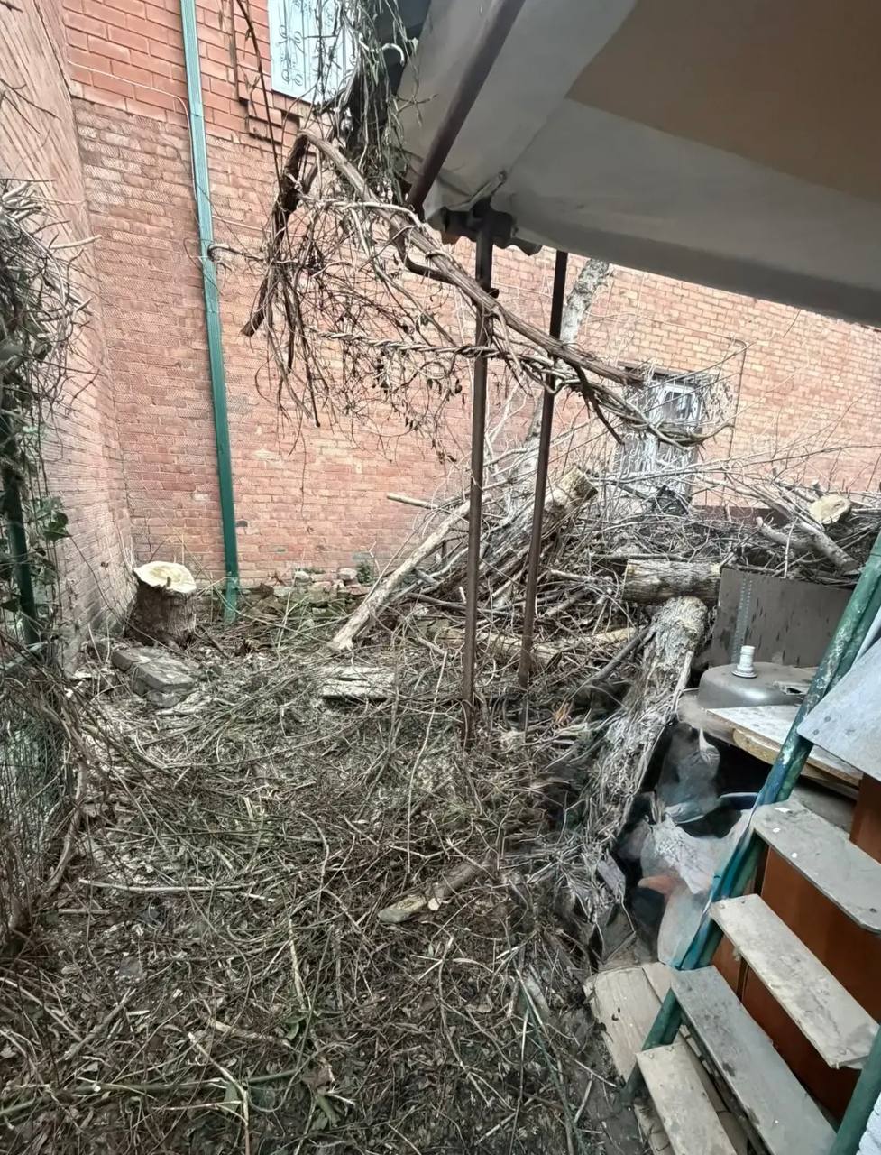 Упавшее дерево повредило газопровод в Краснодаре