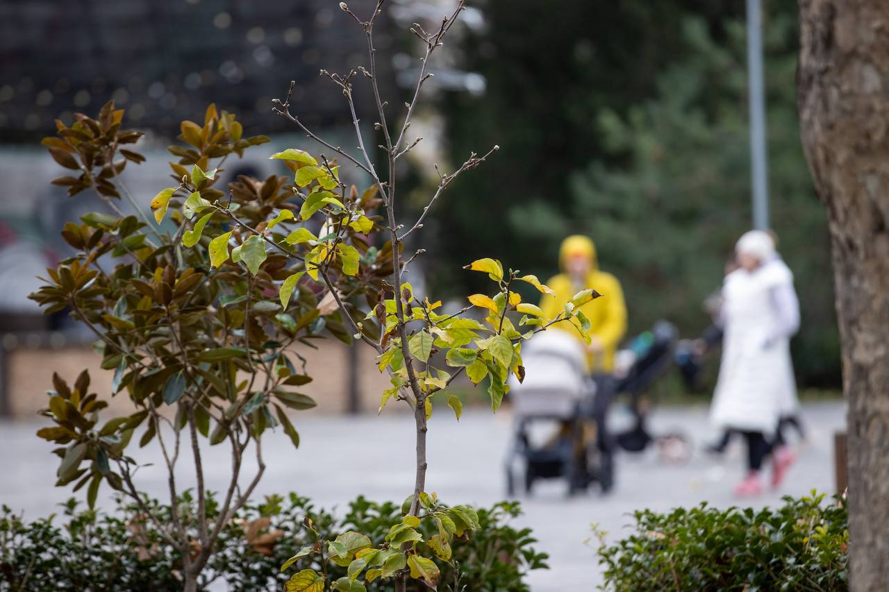 Потепление. Январь открыл оконце солнцу