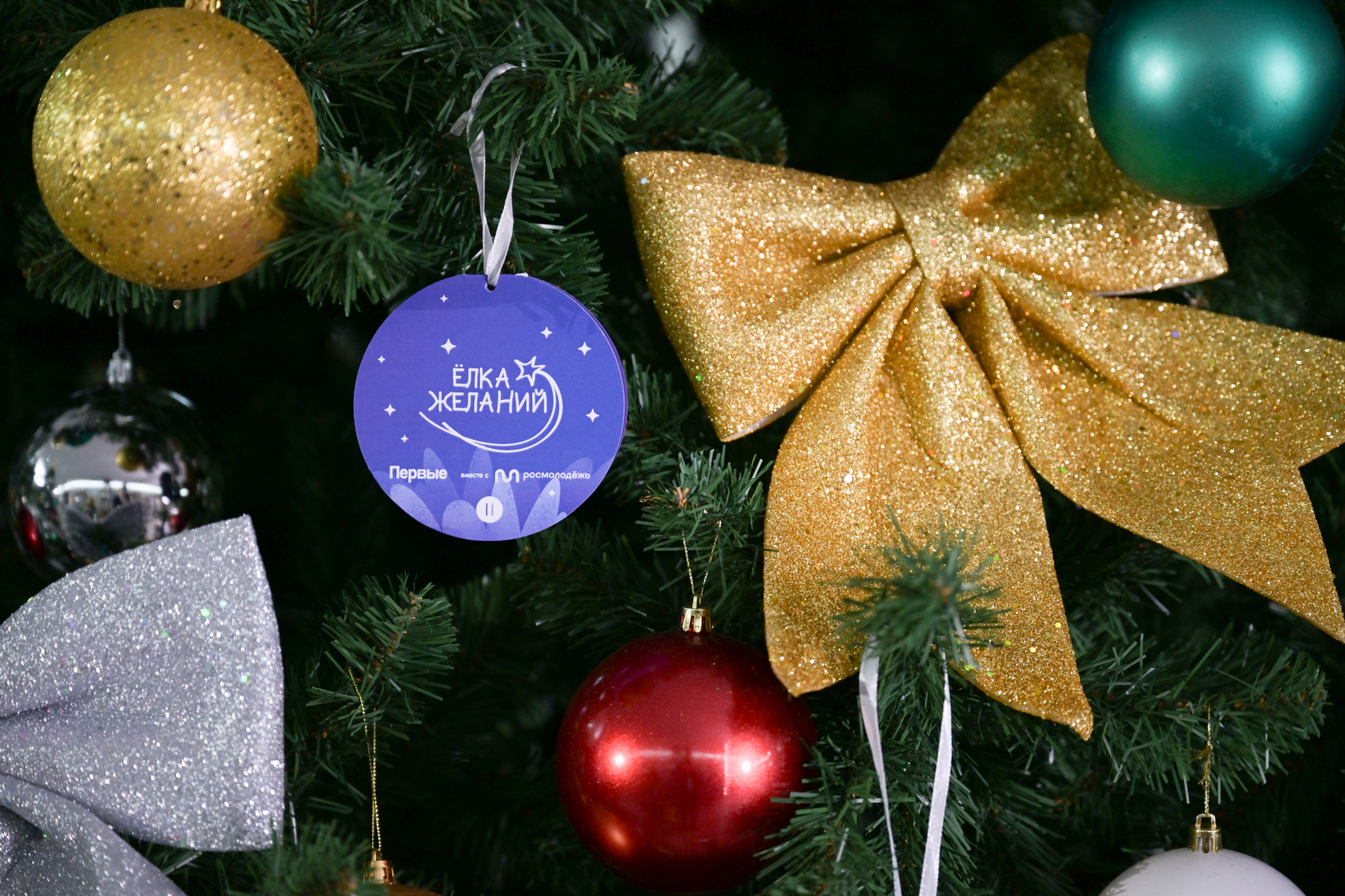 В благотворительной акции «Елка желаний» приняли участие заместители Министра внутренних дел Российской Федерации