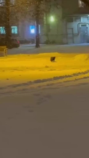 ����� ���������� ����� ������ � ����������� ����� ������