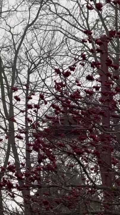 ������ ����, ���������!. ������ � ������� ������ ������� ������������