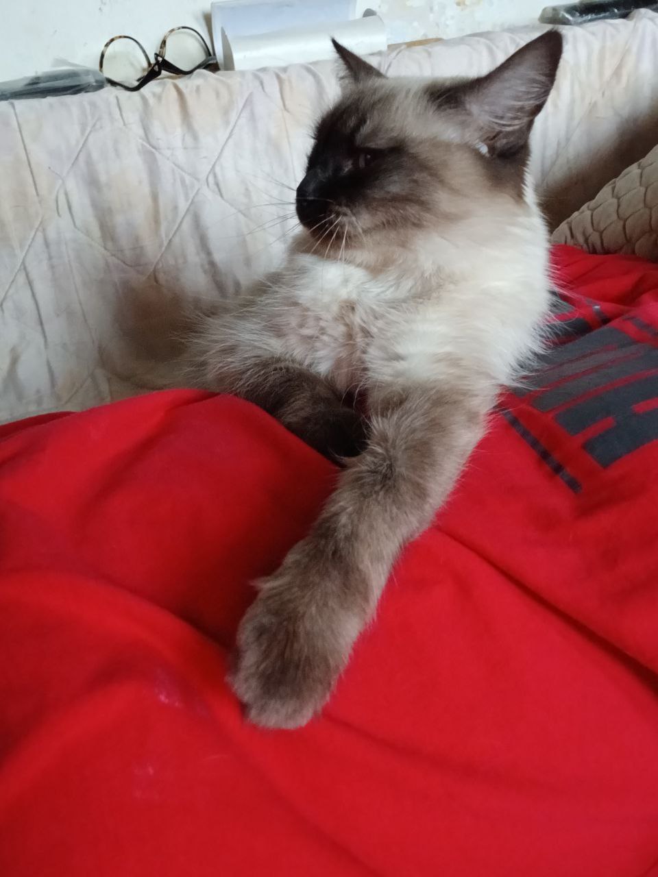 О погоде на 6 января . В Краснодарском крае переменная облачность