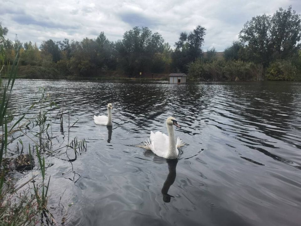 ���� ������� �� ����������� ������� ������� �� ������ �������� � �����