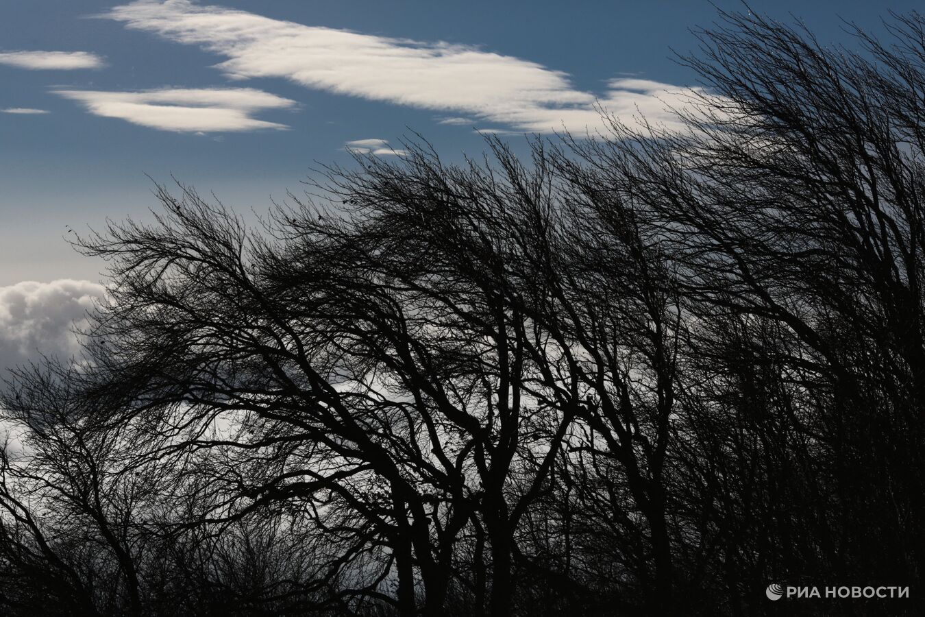 На Кубани объявили штормовое предупреждение, где ожидается ветер до 35 м/с