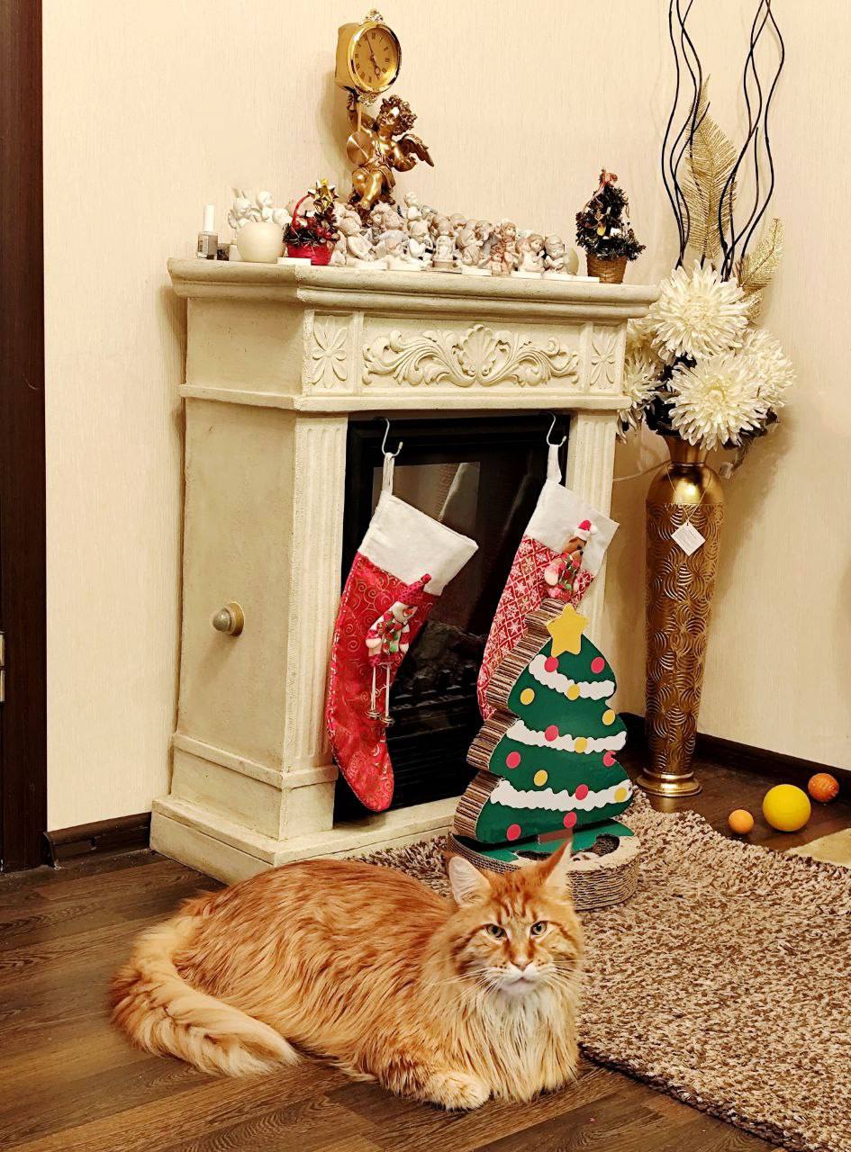 Доброе утро, Кубань!. Краснодар +11°С