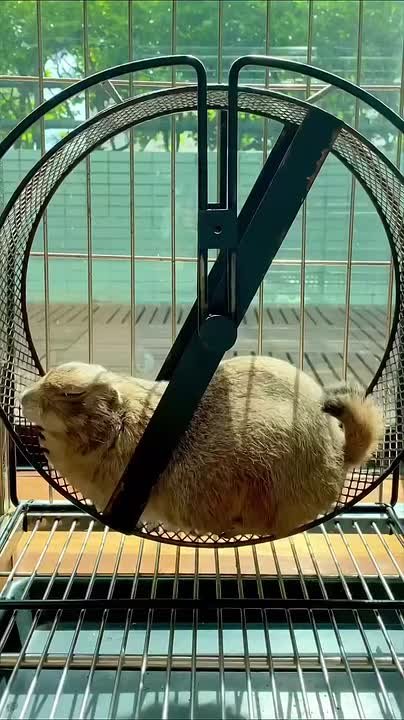 Попытки восстановиться после праздников выглядят примерно так