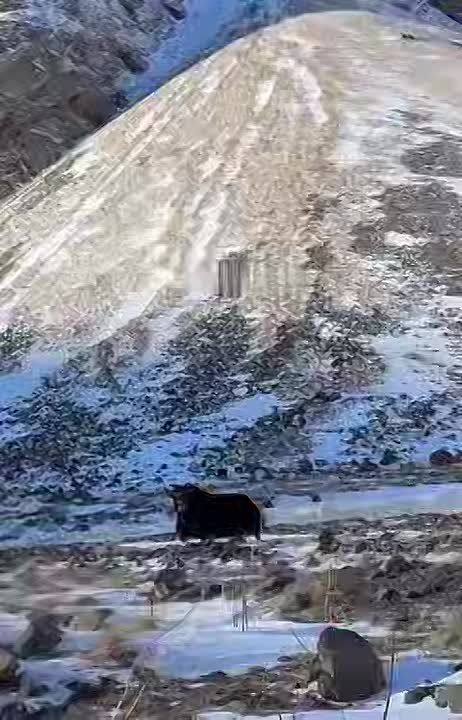 ����, ����� ������, �� �����