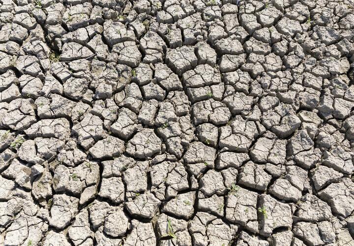 В Ростовской области запускают программу искусственных осадков. Для чего это необходимо?