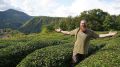 Почему в России выращивают все меньше чая и при чем здесь Сталин: репортаж с краснодарских плантаций