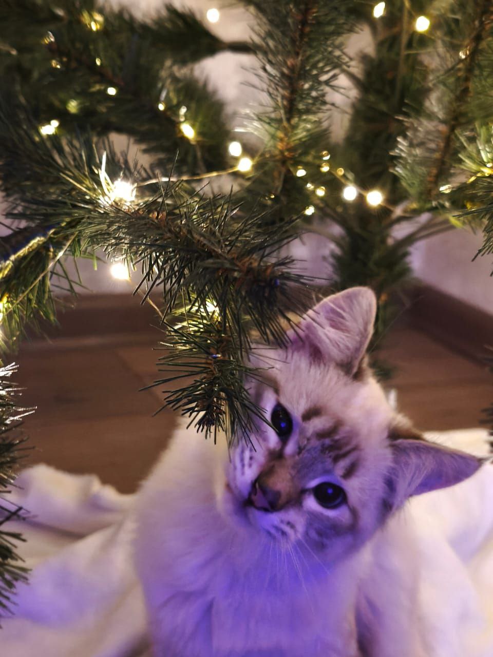 Доброе утро, Кубань!. Краснодар +4…+16 °С