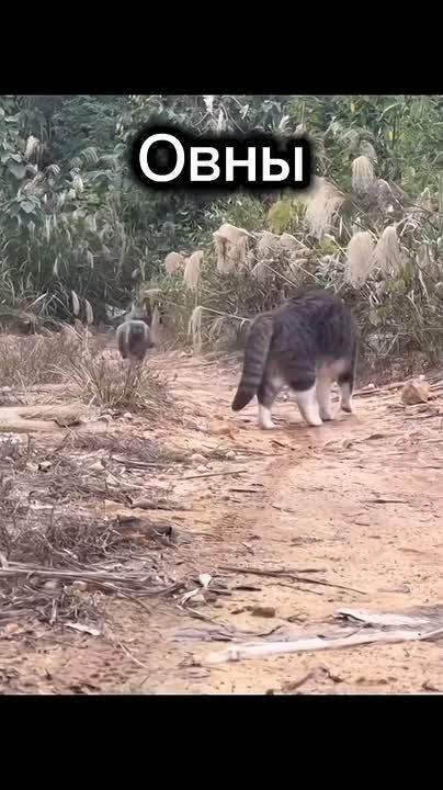 ������� ���� �������� � �����, � ���� ������� ������ �����