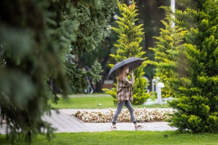 ��������, �������, ��������