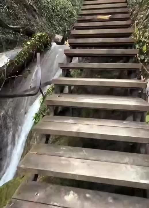 ������ ����� �� ���-����� �33 �������� � ����