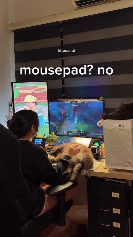 � ���� �������� ������ ������ ��� �����