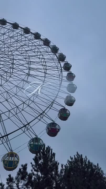 ������ ����, ���������!. ������� ��������� ������� �������� ������, ����� �������� ������ � ���� ����� � �����