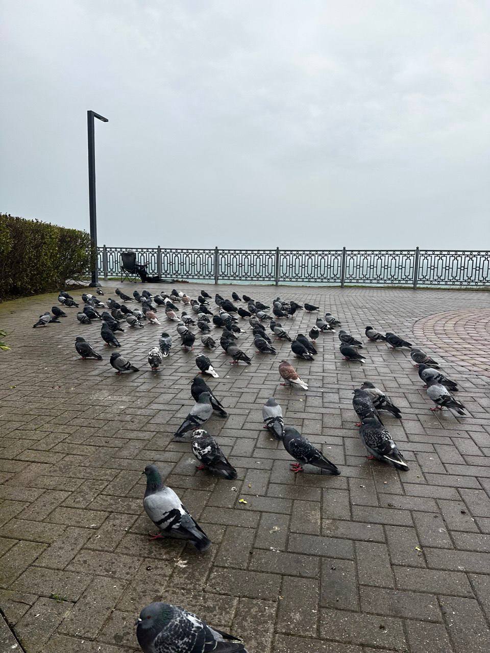 Прячемся от непогоды. Штормовой ветер продолжает властвовать в Анапе