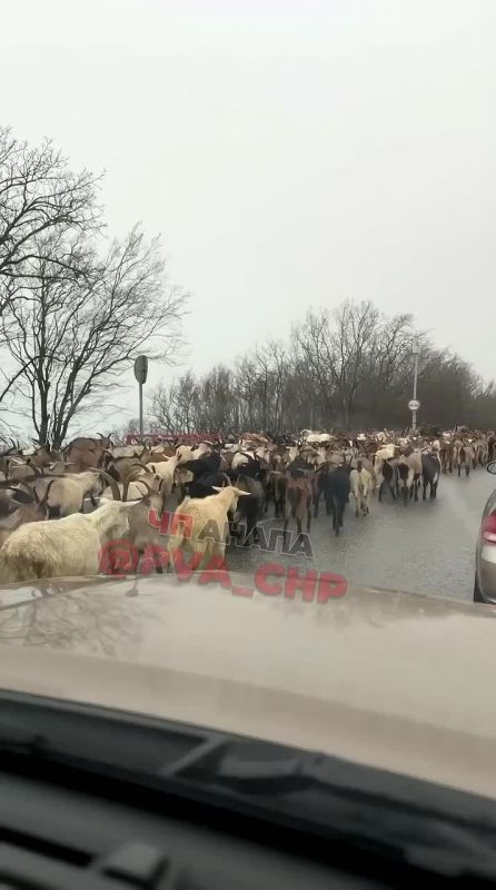 �������� � ������ ����� ������ ��-�� ������, ����������� �� ��������