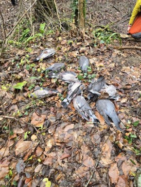 �������� ������ ����� ������� �� ��������� ������