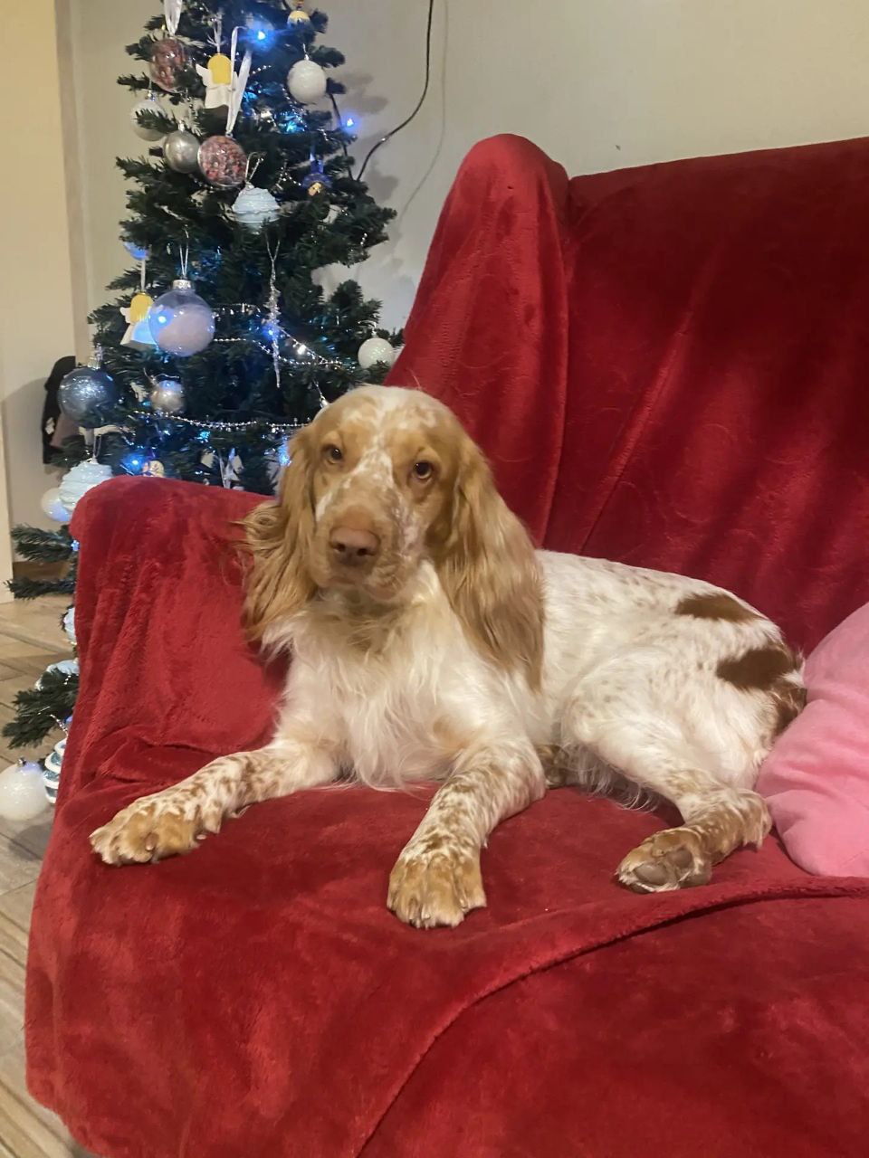 Доброе утро, Кубань!. Краснодар 13 °С