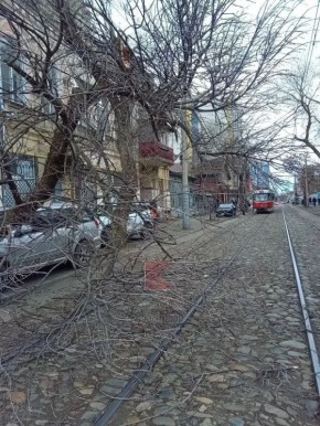 ������ ����� �� ���������� ���� � ����������