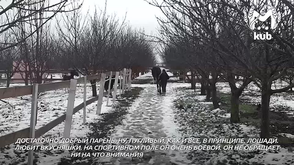 ��������� ����� � 2026-� � ����� �� ����� ������������ � �������� � ������������� ���� �������� ������ ����