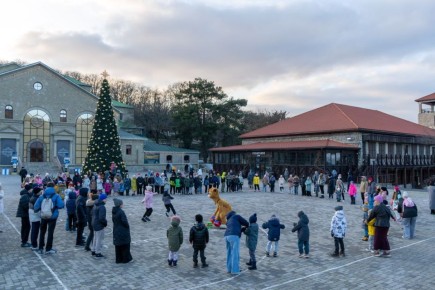 Новороссийск для отдыха в новогодние и рождественские праздники выбрали более 28 тысяч туристов
