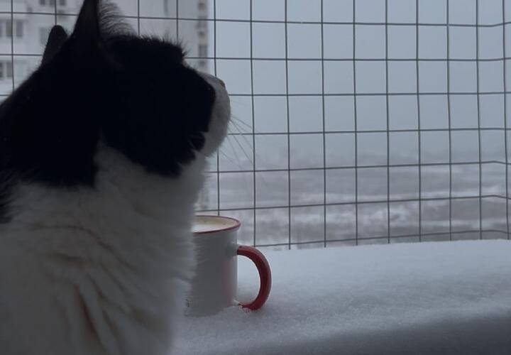 Неприятные последствия от снегопада в Краснодаре на сегодняшнем дне не остановятся