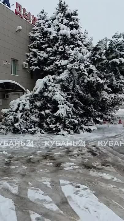 � ��� �� ������������ 12 ������: