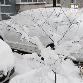 ������ ����������� ��� ������������� ���������: ����� ����� � 10-�������� �������, � ������ ������������ � �����