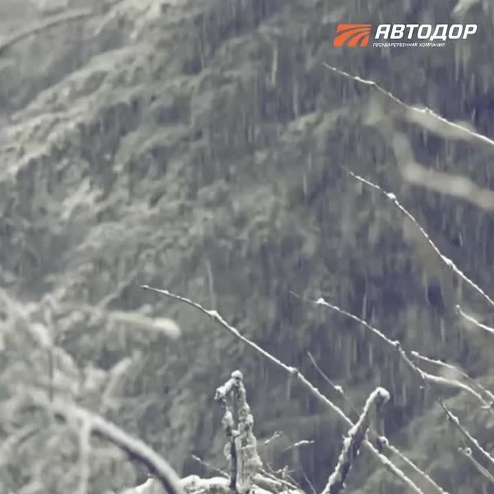 ��������, ��������!. � ����� � ���������������� ������������������ � ��������� ��������� � ������������� ���� ��������� � ������������ ���������������� � ����� ���������� ����� � ������������� ������������ � ���������...