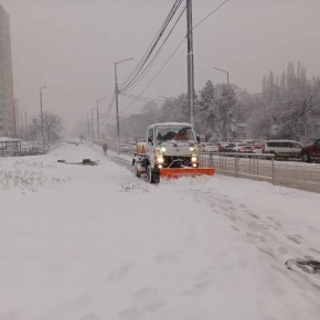 � ���������� ������������ ������ �����