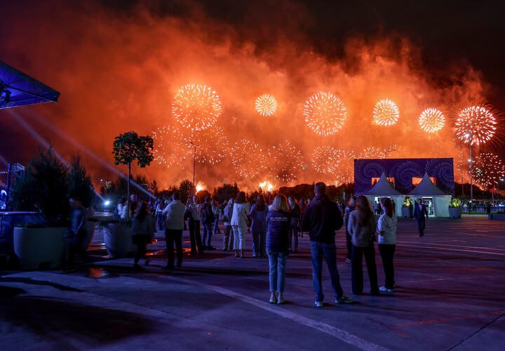 Последствия салютов на Кубани: бездомные собаки ранены, домашние - сбежали
