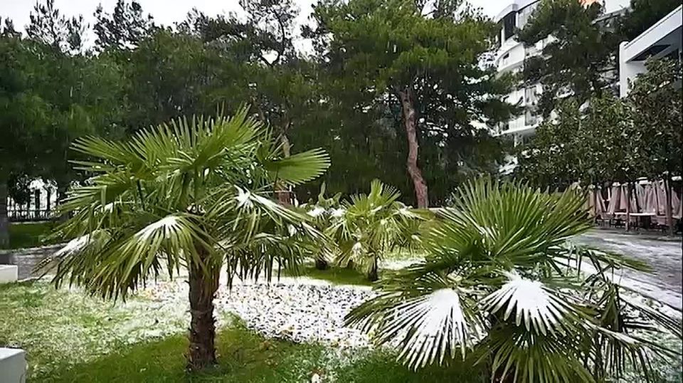 ������� ����������: ���� � ���������� - ��� �� ������ ��������� ��� ������������ �����